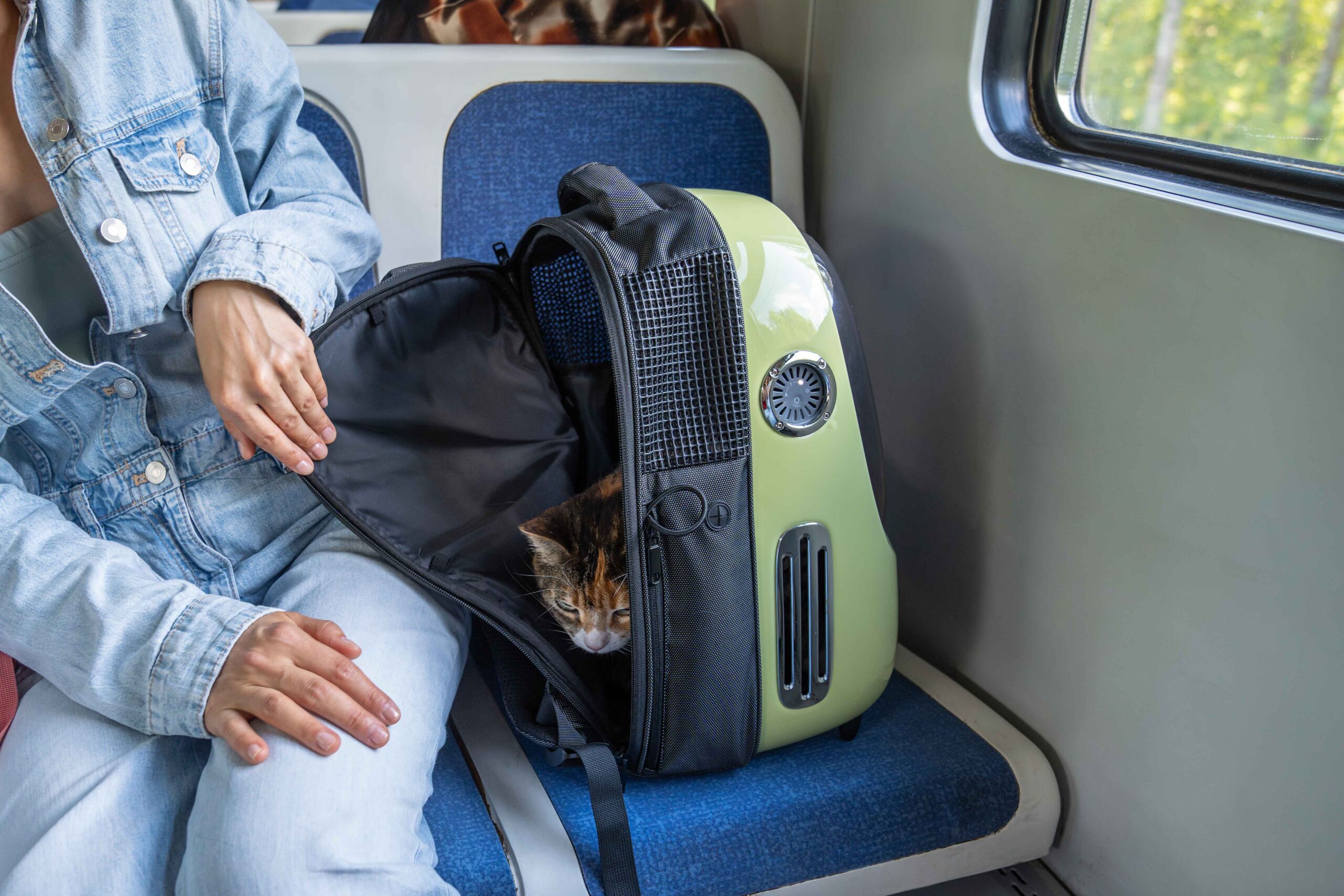 Best Pet Carriers for Comfortable and Safe Travel