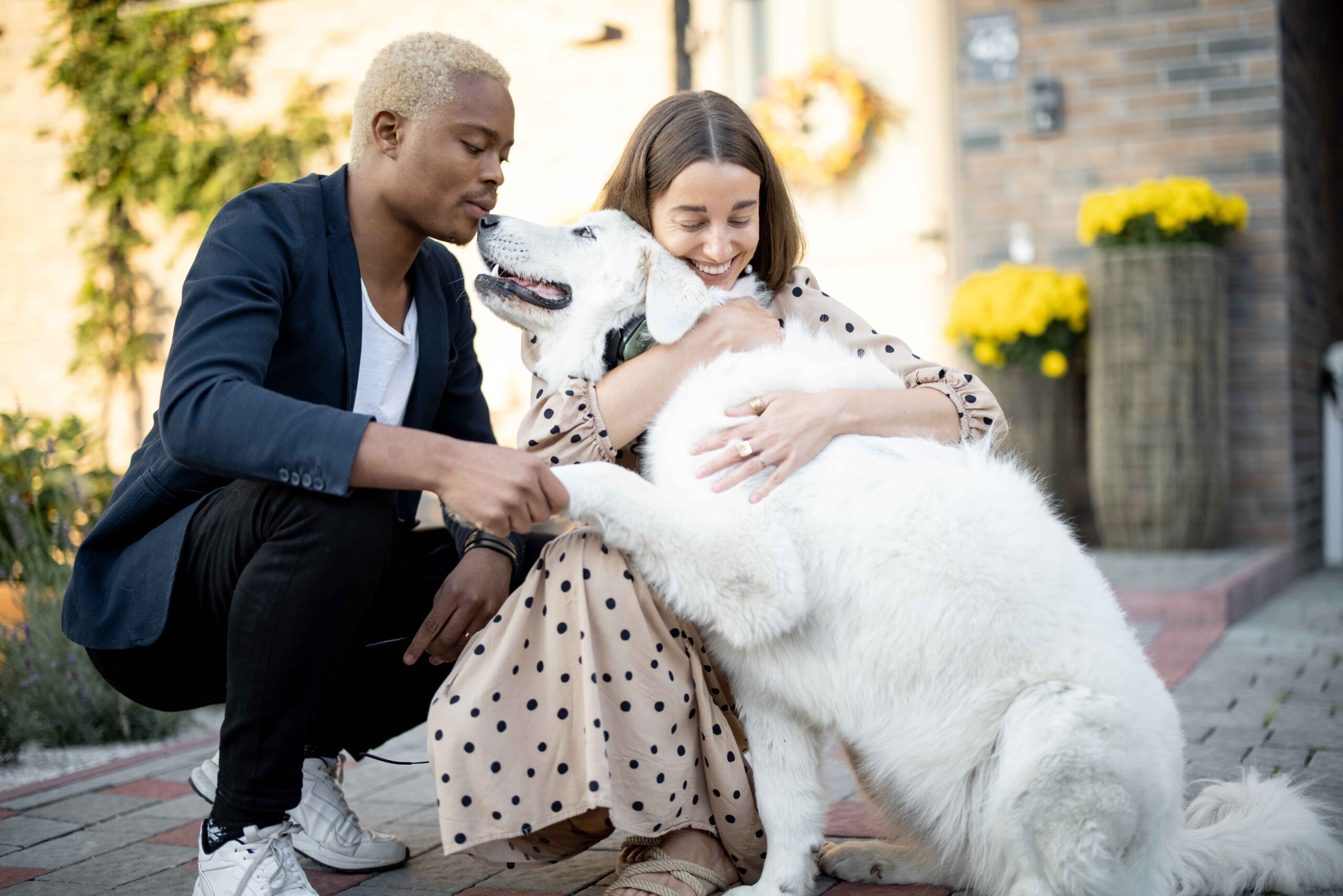 Essential Pet Needs: The Ultimate Guide to Raising a Healthy and Happy Pet