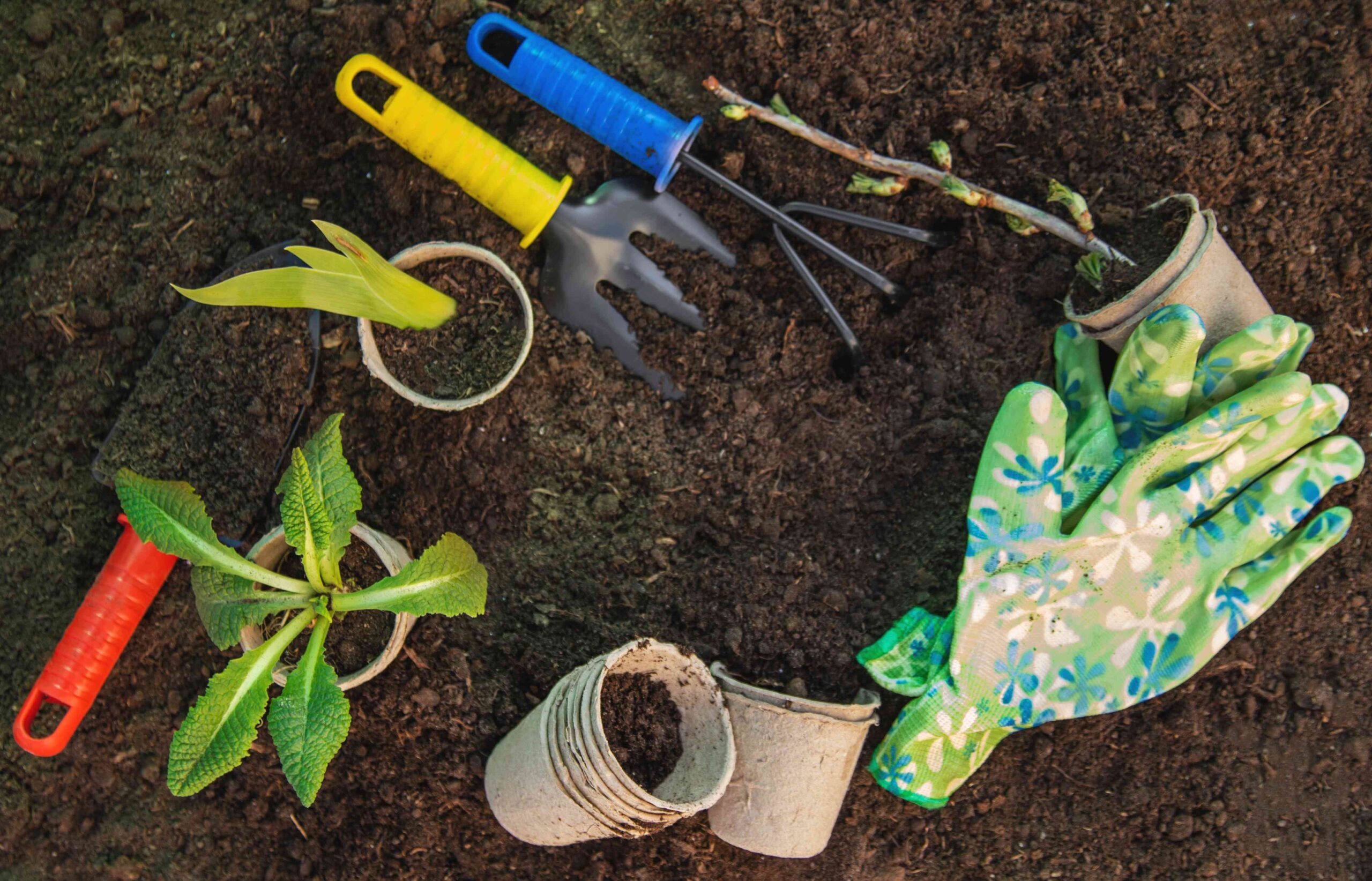 How to Properly Store and Clean Your Gardening Tools