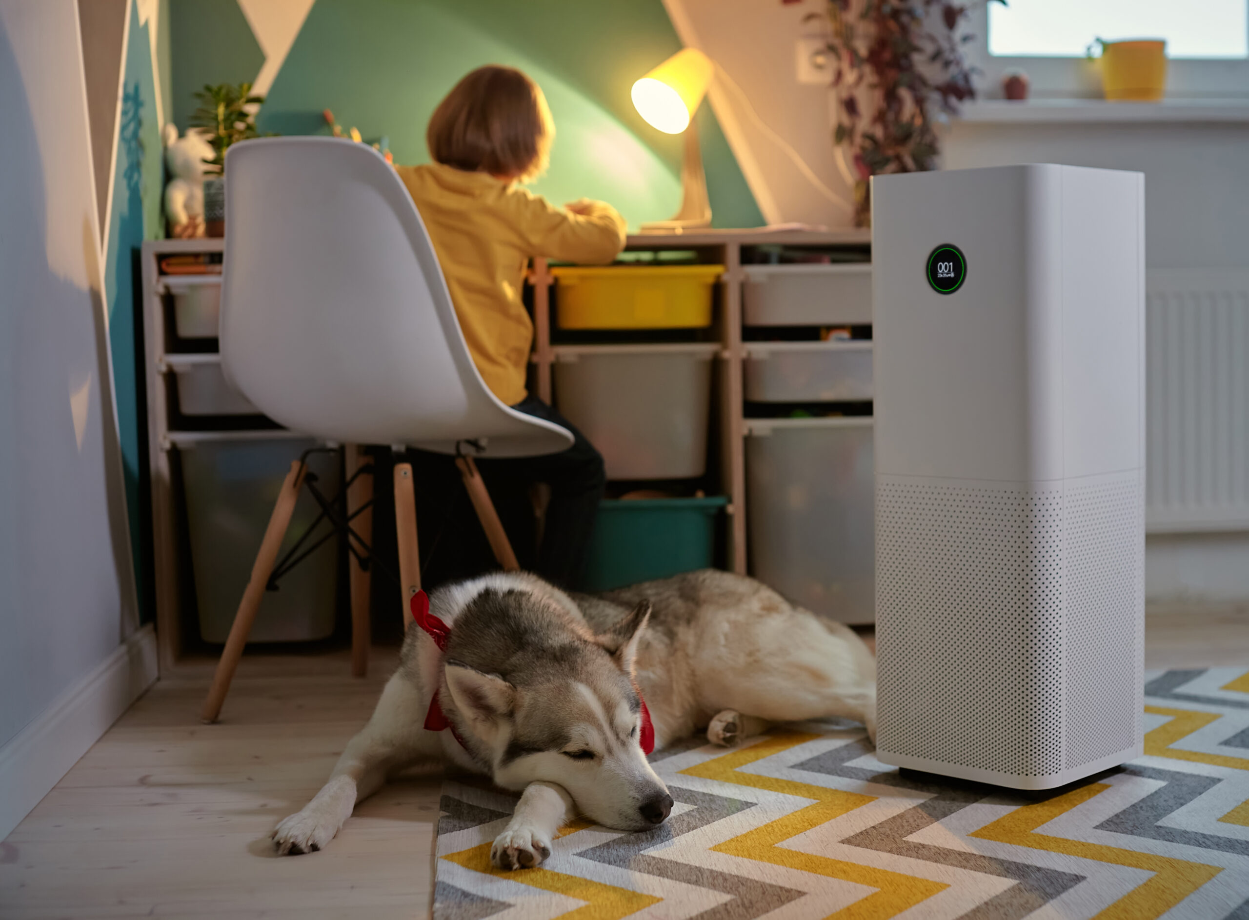We Took  Air Purifiers Through a Dust Storm