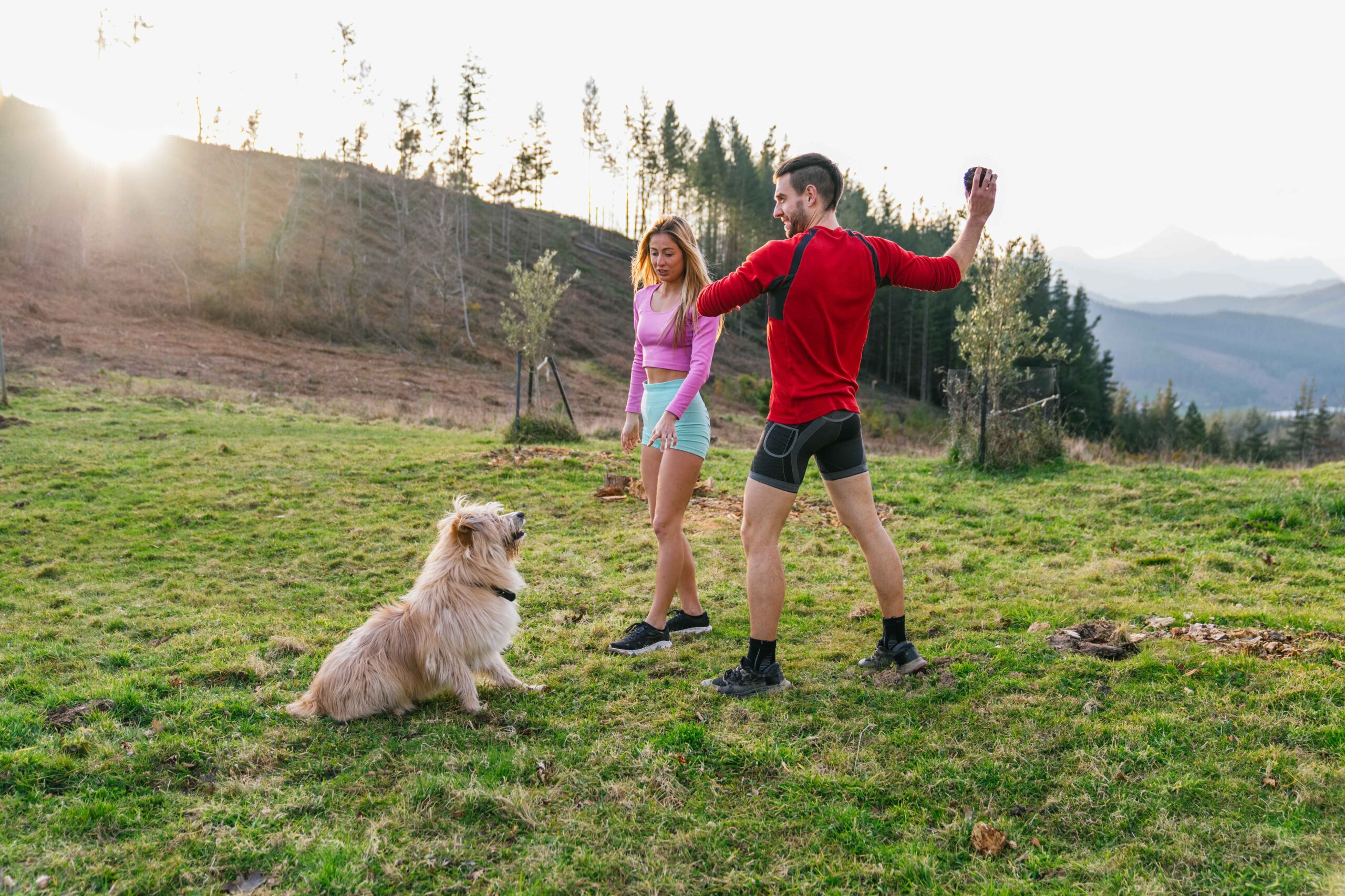 Exercising Your Pet Outdoors: Fun, Safe Ways to Stay Active Together