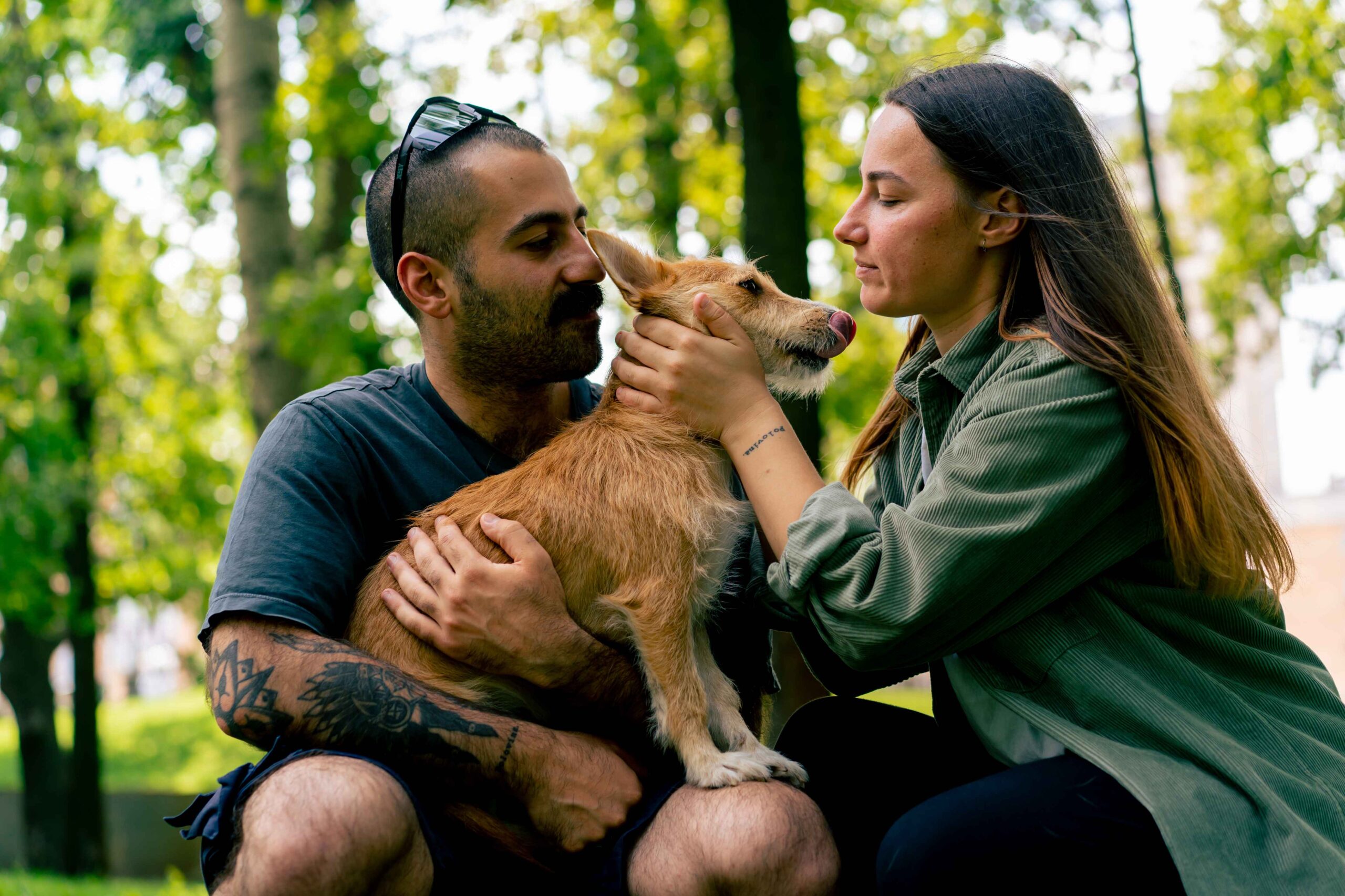 Outdoor Safety Tips Every Pet Owner Should Know