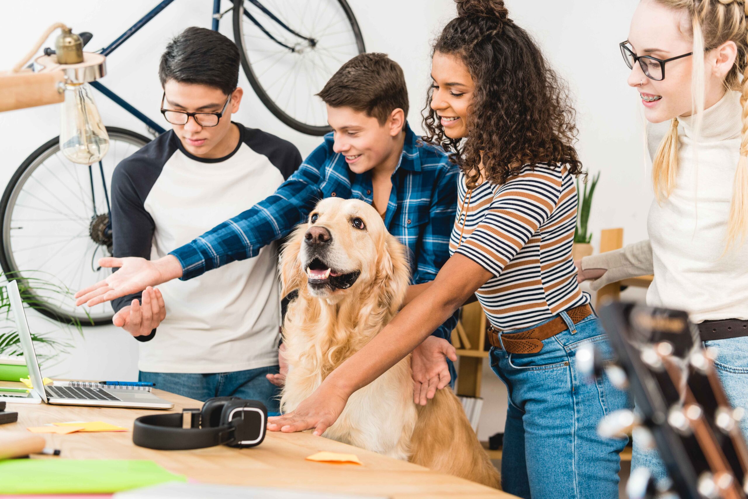 Best Budget Gadgets for Pet Owners: Affordable Picks Your Pets Will Love