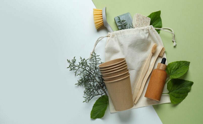 Best Overall Sustainable Products to Green Your Daily Routine