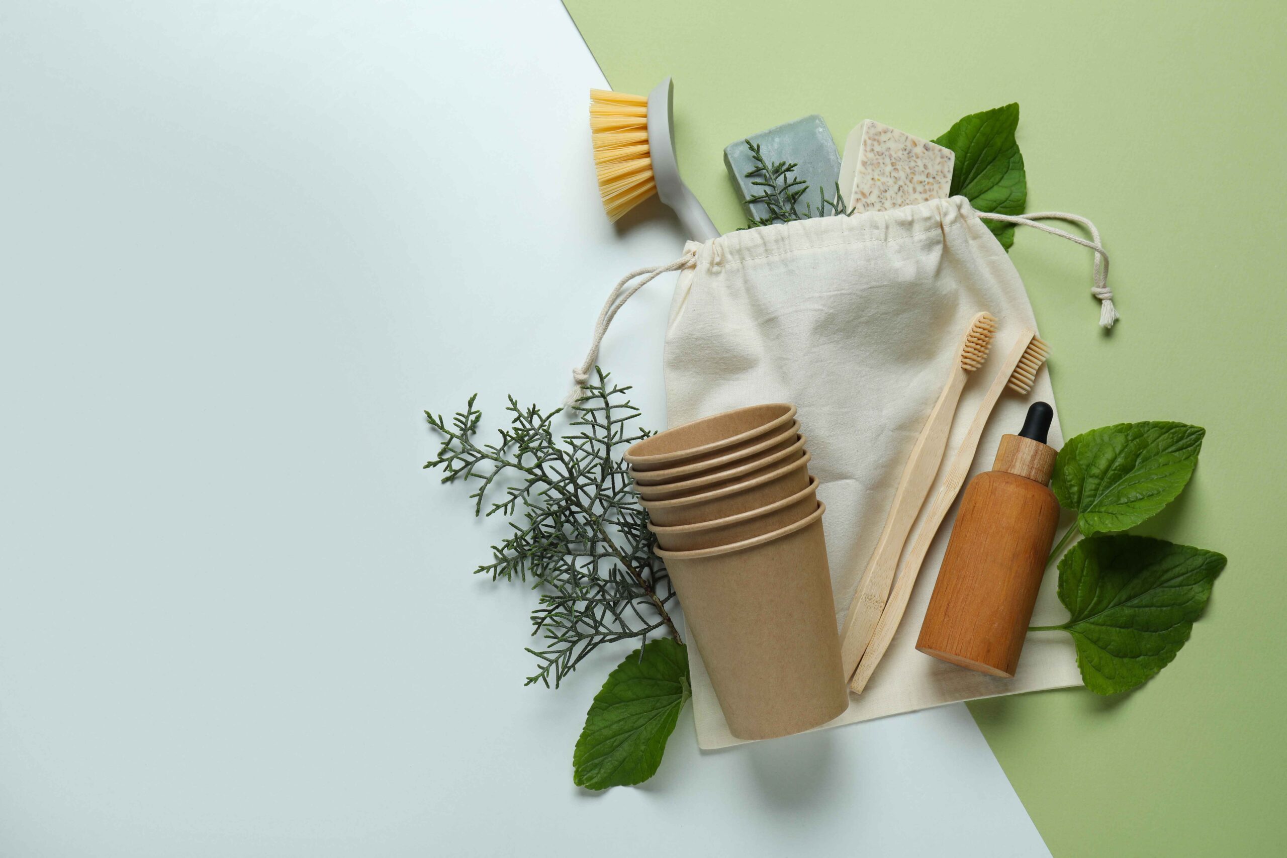 Best Overall Sustainable Products to Green Your Daily Routine