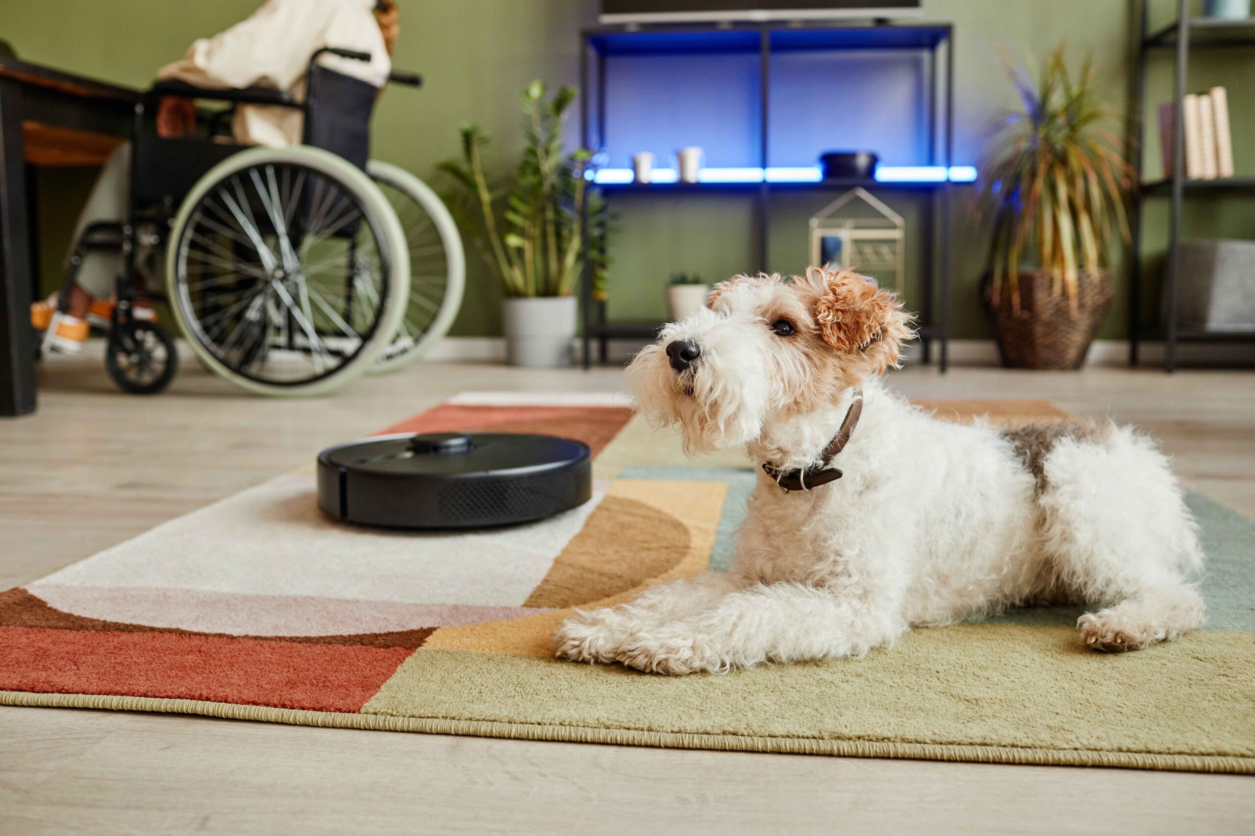 Real Pet Parent Tested: Smart Pet Products That Truly Work